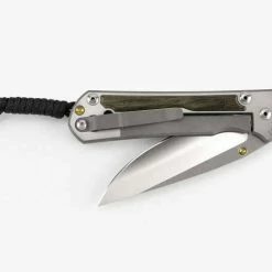 CHRIS REEVE KNIVES Chris Reeves Large Sebenza 31 Bog Oak