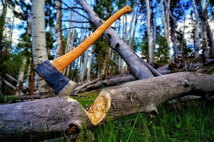 Budget 👍 Axes & Hatchets Hults Bruk Agdor 32" Yankee Felling Axe (Sweden) 🔔 9 Axes & Hatchets Hults Bruk Agdor 32" Yankee Felling Axe (Sweden)