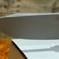 Rick Hinderer Jurassic Flipper 3.5