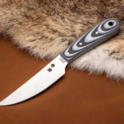 Buy ⌛ Spyderco Bow River Fixed Blade Knife 4.40" 8Cr13MoV - Leather Sheath - PlainEdge (FB46GP) ✨ 8 Spyderco Bow River Fixed Blade Knife 4.40