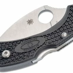 Spyderco Dragonfly 2 Wharncliffe Knife 2.28