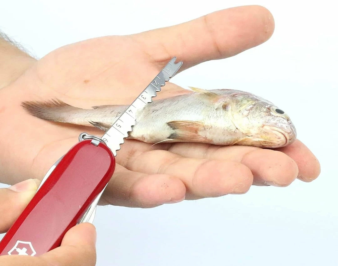 Flash Sale 😉 Victorinox Swiss Army Multi-Tool SwissChamp Pocket Knife ✔️ 15 Victorinox Swiss Army Multi-Tool SwissChamp Pocket Knife